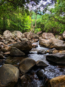 苔藓 流动的 石头 森林 春天 瀑布 落下 岩石 风景 美丽的