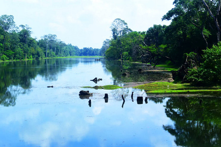 平静的河流流过柬埔寨的丛林图片