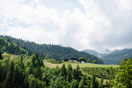 天空 小山 森林 自然 风景 美丽的