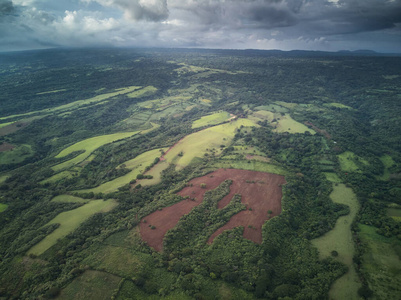 大米 领域 场景 草地 风景 农田 尼加拉瓜 美丽的 乡村