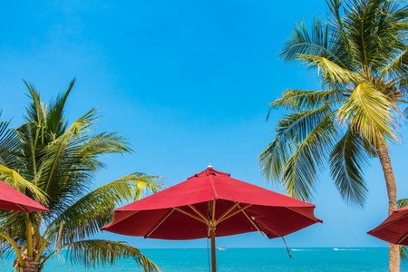 棕榈 海岸 海洋 风景 海滩 美丽的 旅行 泻湖 太阳 海湾