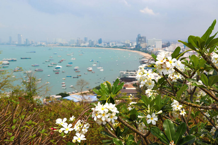 旅行 泰国 假日 公园 建筑学 自然 芭堤雅 海洋 旅游业