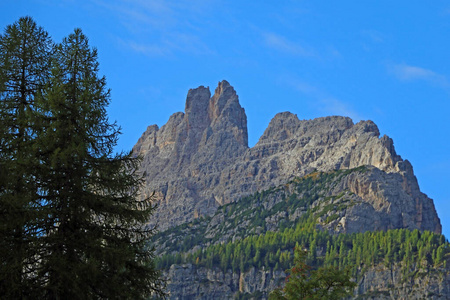 地标 阿尔卑斯山 阿迪奇 森林 风景 旅游业 小山 泰洛