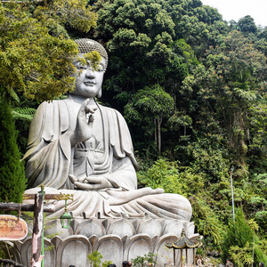 雕塑 洞穴 美丽的 旅行 下巴 巨人 云顶 地标 马来西亚