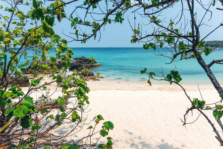 自然 海湾 亚洲 旅游业 泰国 加勒比 夏天 绿松石 海景