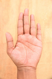 棕榈 印第安人 身体 人类 特写镜头 女人 手指 宝贝 皮肤