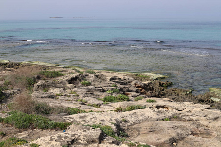 太阳 夏天 自由 岩石 以色列 步行 地平线 早晨 海岸线