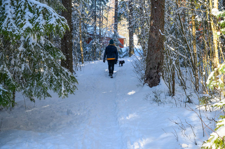 欧洲 森林 斯堪的纳维亚语 假期 明信片 日出 冒险 冬天