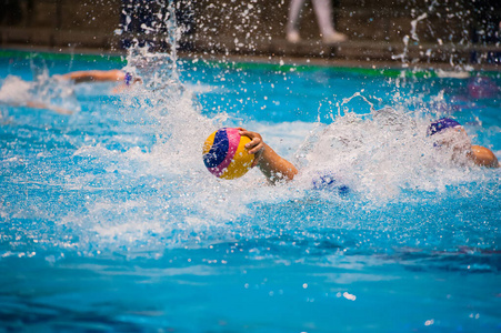 娱乐 运动 行动 比赛 水球 竞争 游戏 水塘 马球 游泳