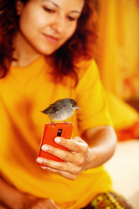 一个手里拿着手机和一只小鸟的女人。