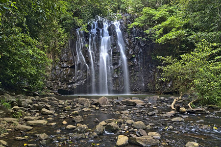 乡村 阳光 美丽的 风景 丛林 岩石 澳大利亚 植物 地标