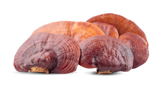 特写镜头 水果 形象 蘑菇 食物 颜色 自然 摄影 坚果