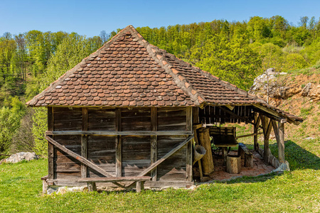 塞尔维亚 欧洲 塞尔维亚语 复古的 破坏 风景 建筑 古老的