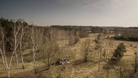 草地 被遗弃的 古老的 森林 棚户区 房子 自然 建筑 波兰