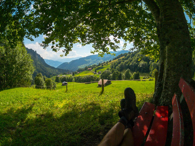 小山上一棵树下的长凳。背景是山村。瑞士夏季景观