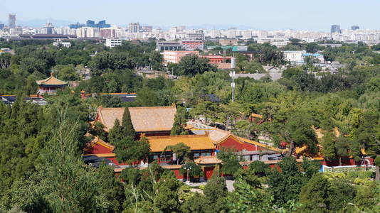 屋顶 全景图 城市 保护 皇帝 文化 亚洲 天空 宫殿 瓷器
