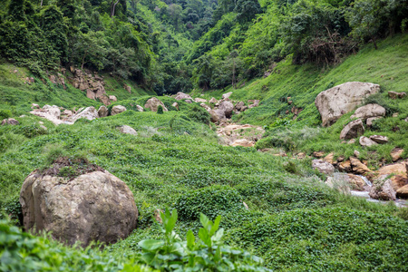 变暖 树叶 植物 风景 流动 气候 激流 岩石 森林 天气