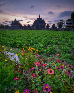 坎迪 天空 印度尼西亚 佛教徒 密教 崇拜 旅游业 目的地