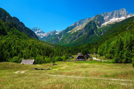 夏天 全景 小屋 索卡 花园 吸引力 村庄 自然 风景 旅行