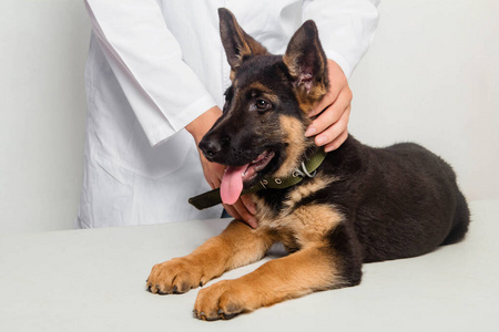 医生看舌头图片