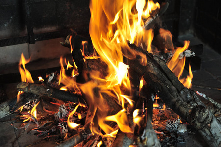 篝火 火焰 壁炉 木材