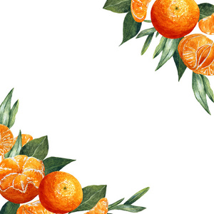 插图 柑橘 颜色 甜的 素食主义者 甜点 自然 饮食 普通话