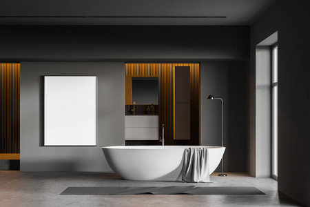 酒店 插图 洗澡 地板 窗口 奢侈 复制 浴室 三维 混凝土