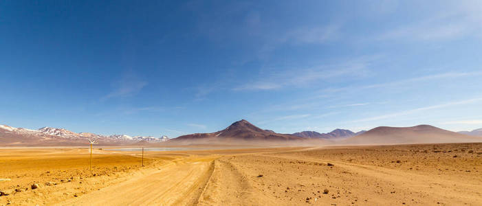 地标 亚古斯 风景 砂岩 粉红色 目的地 沙漠 形成 旅游业