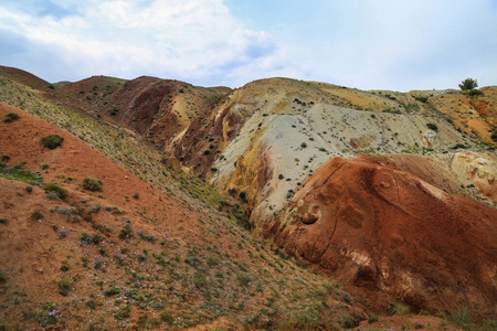 旅行 阿尔泰 地质学 冒险 岩石 风景 天空 夏天 山谷