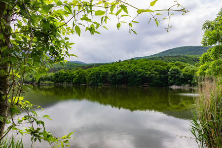 夏天 全景 旅游业 徒步旅行 环境 乡村 全景图 早晨 池塘