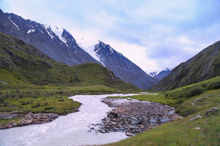 美丽的 阿尔泰 冰川 旅游业 草地 风景 天空 徒步旅行
