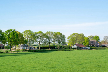 天空 文化 荷兰语 建筑学 牧场 国家 农田 建设 风景
