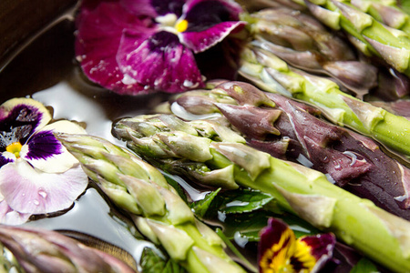 生的 春天 饮食 紫色 营养 开销 烹饪 健康 季节 蔬菜