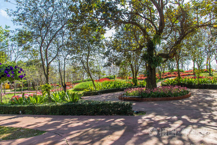 紫色 花园 环境 颜色 植物区系 春天 亭阁 风景 美丽的