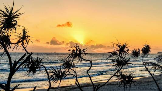 美丽的 自然 海岸 旅行 棕榈 假期 太阳 日落 假日 夏天