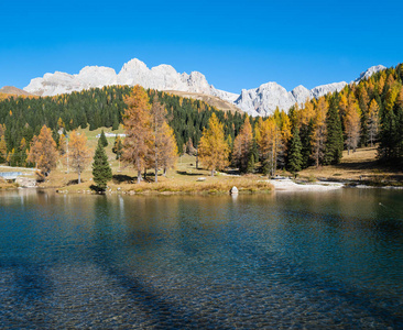 意大利 十月 拉戈 岩石 阿尔卑斯山 冷杉 自然 欧洲 国家
