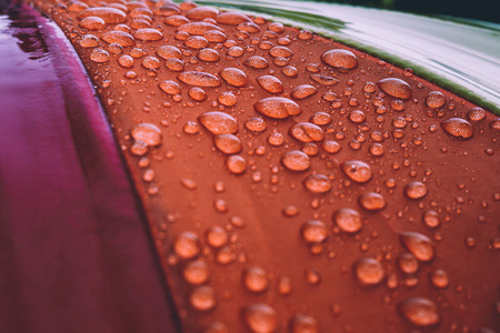 雨伞 气溶胶 自然 雷雨 液体 特写镜头 秋天 阳伞 保护