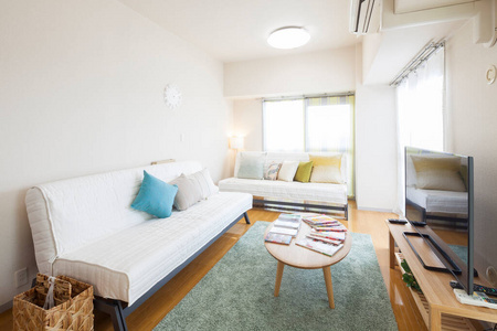 毛茸茸的 公寓 枕头 卧室 奢侈 杂物 住处 流行的 沙发