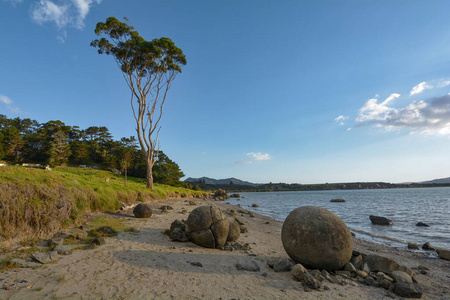 夏天 海湾 旅行 海滩 海岸 岩石 海岸线 风景 巨石 全景图