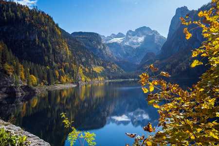 反射 假日 季节 欧洲 落下 公园 森林 自然 目的地 秋天