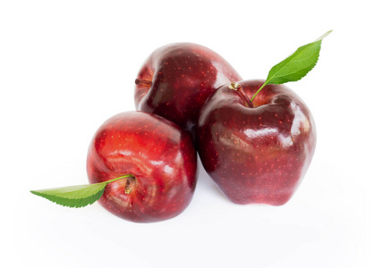 食物 分支 美味的 甜的 特写镜头 植物 素食主义者 苹果