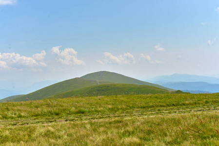 乌克兰 夏天 天空 森林 旅行 脉络膜 山谷 阳光 自然