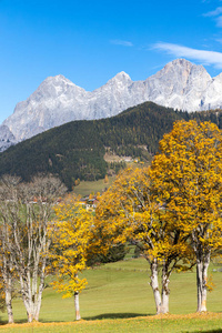 旅行者 达赫斯坦 风景 自然 旅行 岩石 联合国教科文组织