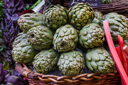 意大利语 葫芦 植物 自治市镇 生物 产量 美食家 蔬菜