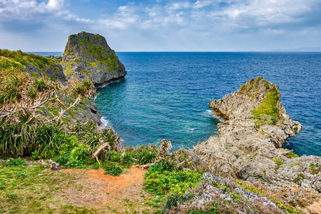 海湾 假期 美丽的 岩石 旅行 自然 悬崖 旅游业 植被