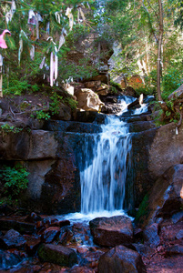 小溪 旅行 木材 岩石 森林 石头 风景 旅游业 公园 瀑布