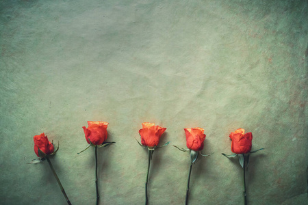 top view of five pink roses on a light green background. 