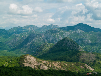 旅游业 黑山 风景 森林 自然 山谷 旅行 欧洲 旅行者