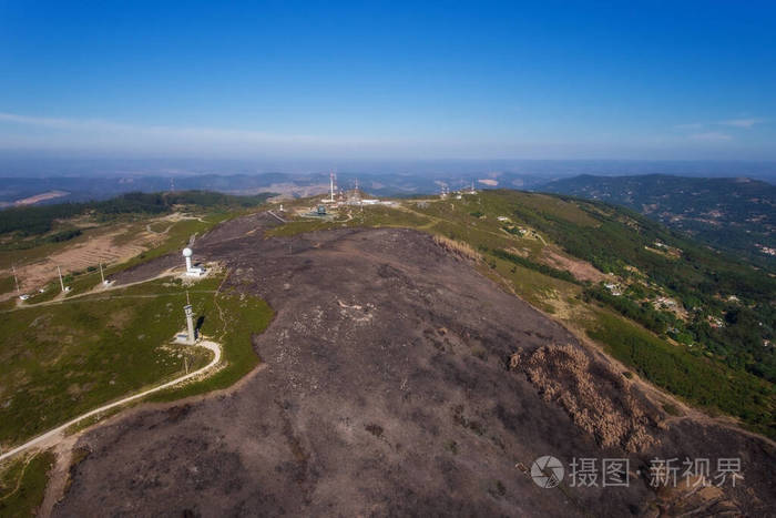 夏天 损害 丛林大火 森林 燃烧 风景 破坏 毁灭 信息自由法