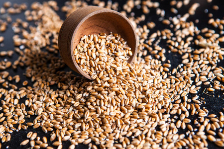 燕麦 自然 玉米 农场 收获 食物 耳朵 大麦 鳞片 碾磨